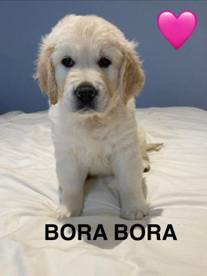 BAYA